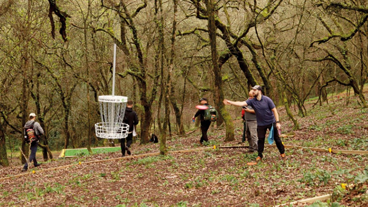 20260531-discgolf-01
